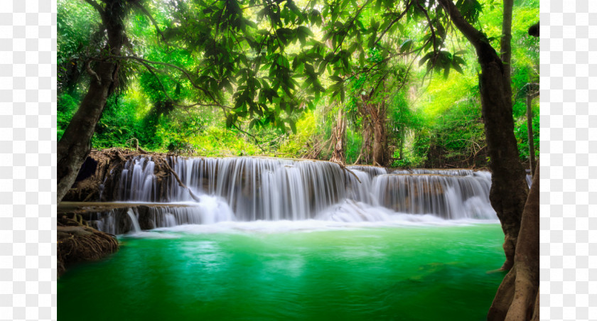 Water Landscape Waterfall Spring Mural PNG