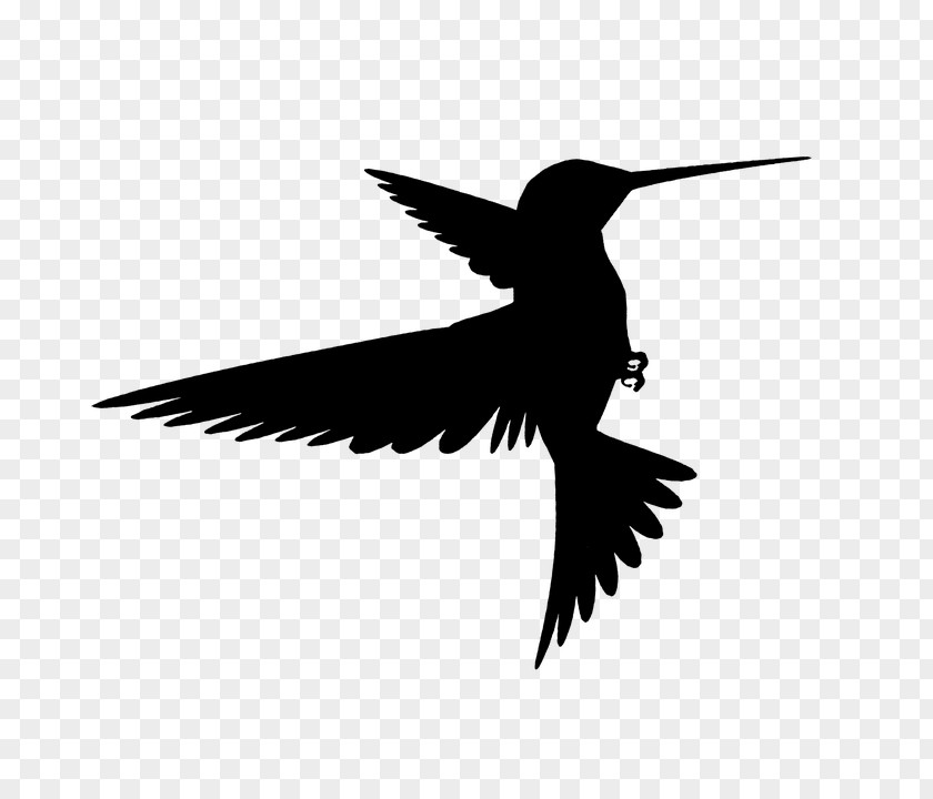 Bird Hummingbird Silhouette Wing PNG