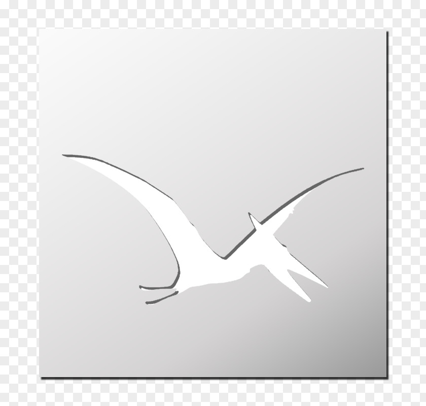 Design Line Beak PNG