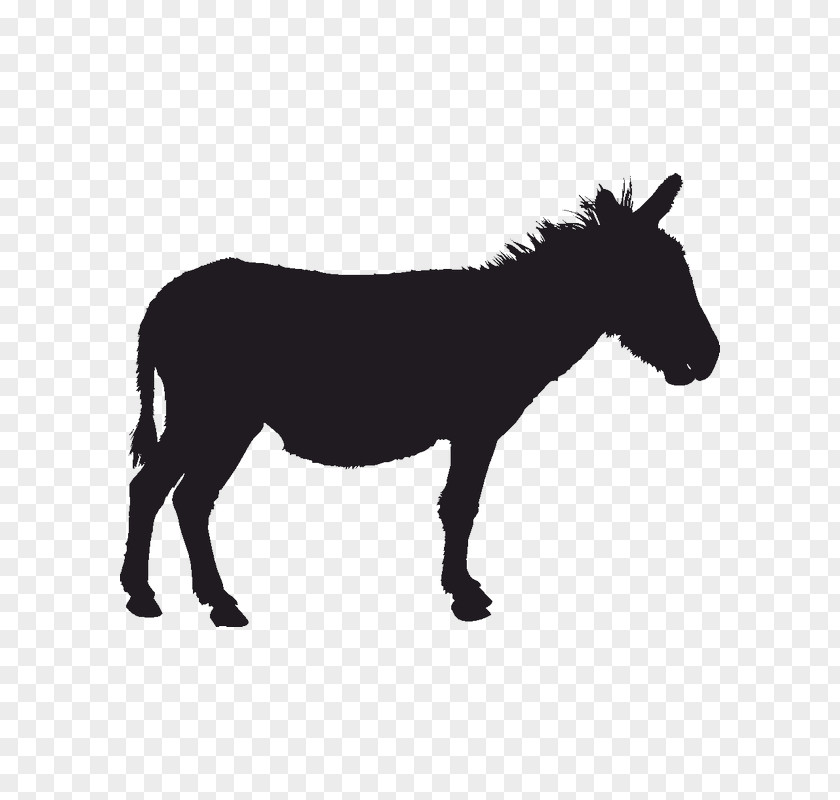 Donkey Mule Silhouette Clip Art PNG