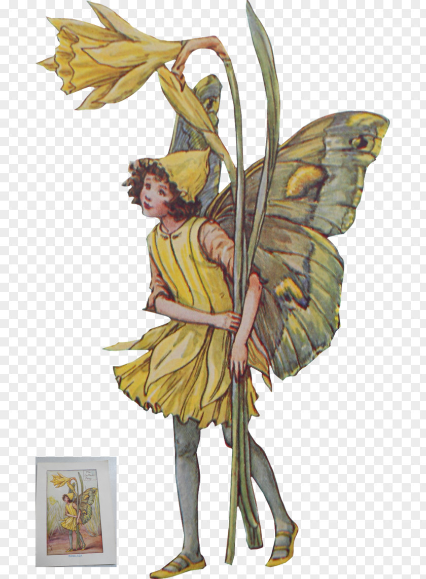 Fairy A Flower Alphabet The Book Of Fairies Complete Collection Library: Trees PNG