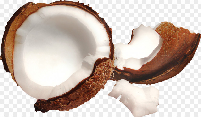Walnut Coconut Milk Desktop Wallpaper High-definition Video Television PNG