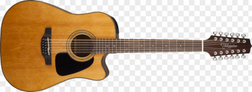 12 String Acoustic Guitar Lessons Acoustic-electric Dreadnought PNG