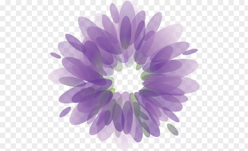 Beauty Scatters Flowers Chrysanthemum Desktop Wallpaper Daisy Family Purple Computer PNG