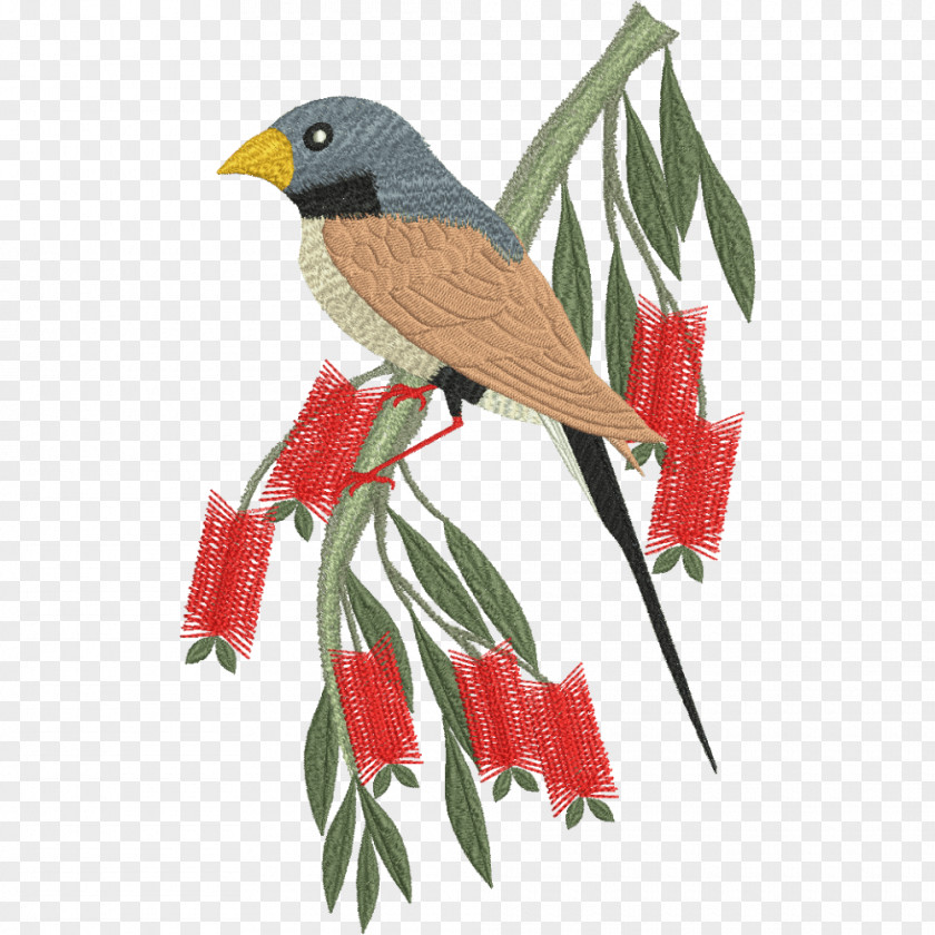Parrot Bird Machine Embroidery Budgerigar PNG