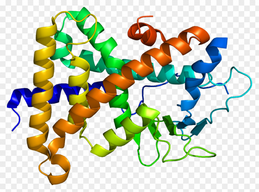 Pregnane X Receptor Nuclear Estrogen Retinoid PNG