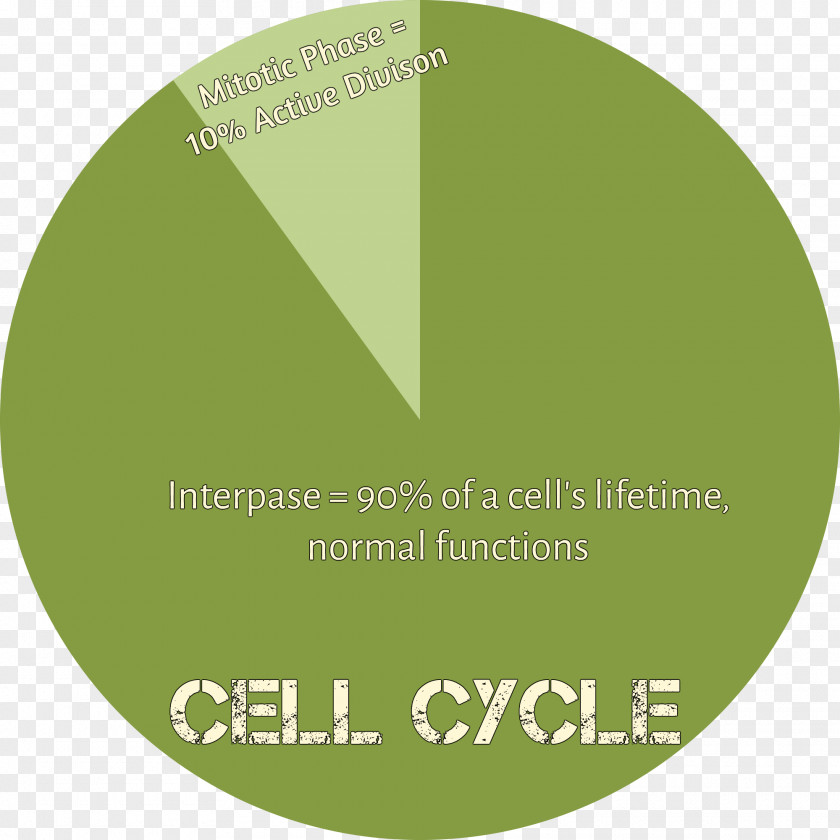 Cellular Chart Brand Font PNG