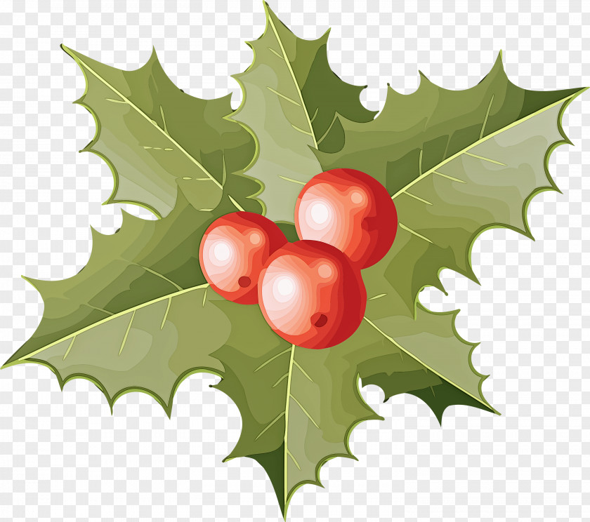 Holly Christmas Ornament PNG