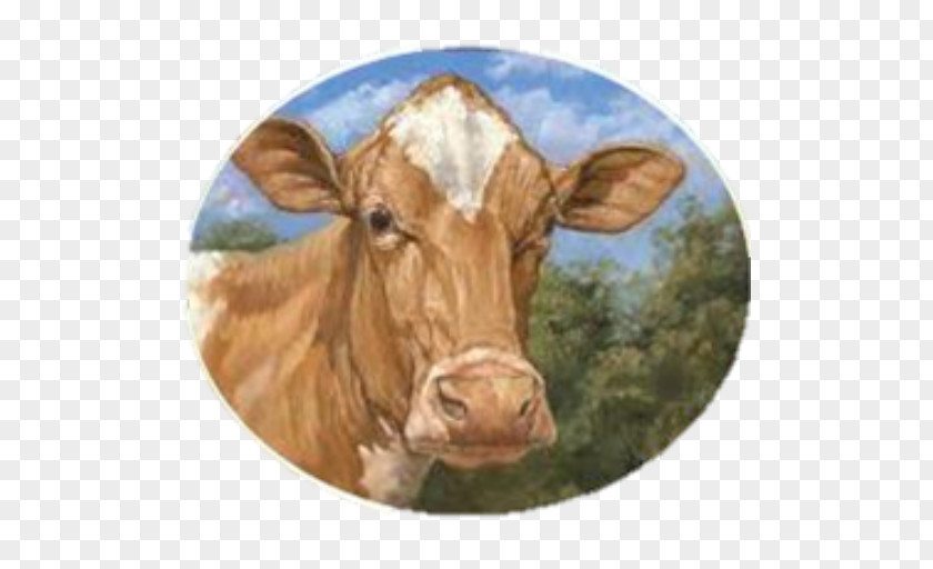 Milk Dairy Cattle Guernsey Jersey Holstein Friesian Beef PNG