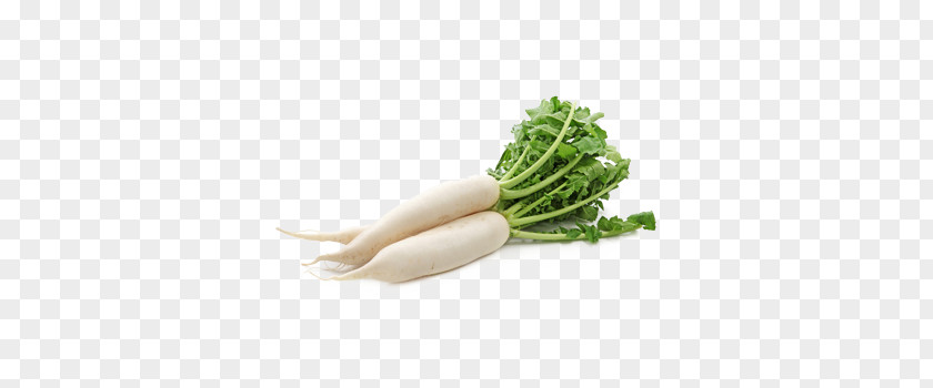 Vegetable Daikon Root Vegetables Cải Củ Carrot PNG
