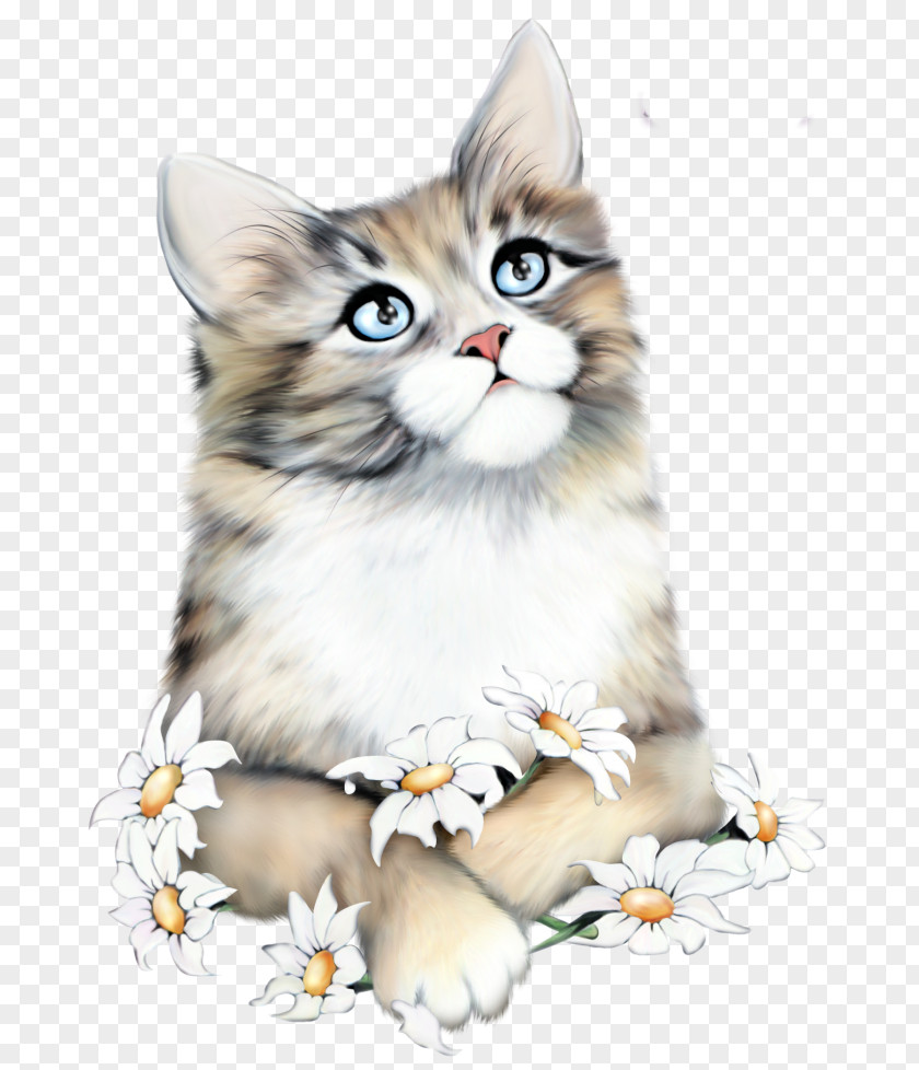 Cat Image Kitten Clip Art Birthday PNG