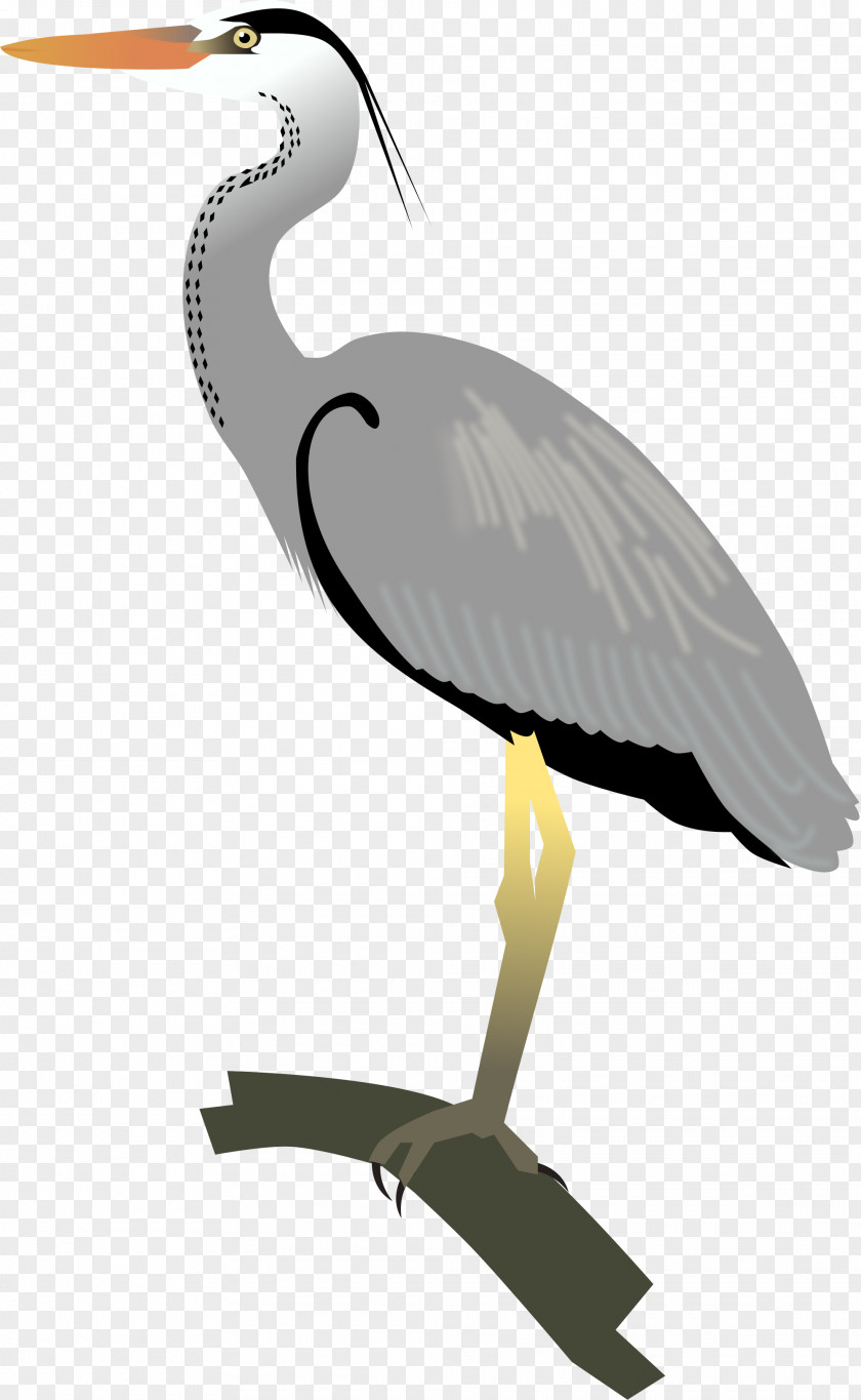 Crane Egret Great Blue Heron Bird PNG