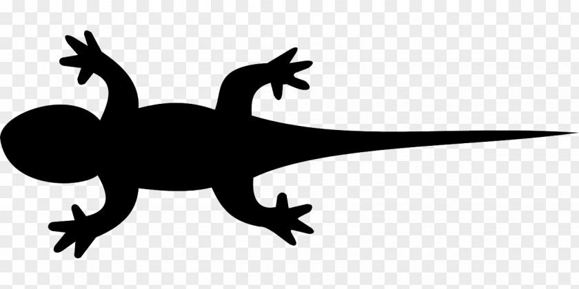 Lizard Reptile Clip Art Vector Graphics Gecko PNG