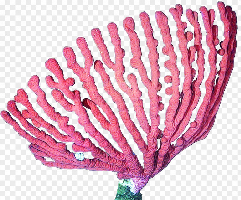 Magenta Flower Pink Leaf Plant PNG
