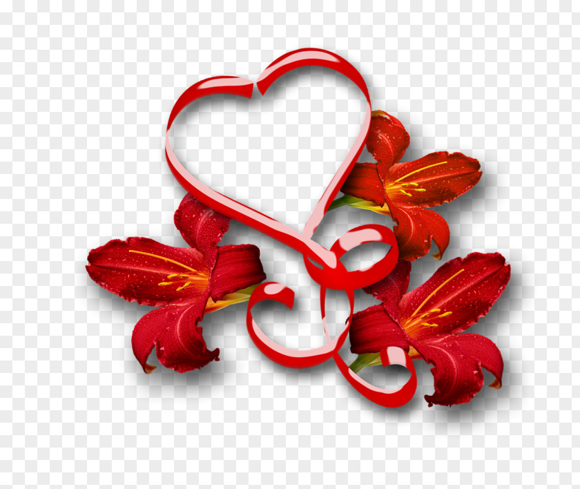 Photography Love Clip Art PNG