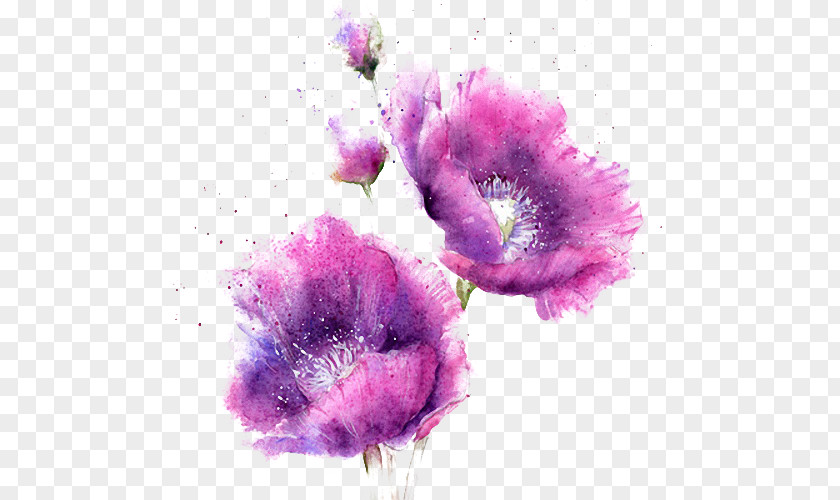 Watercolor Purple Flowers Painting PNG