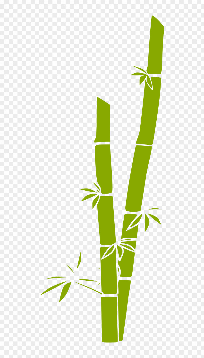 Bamboo Cliparts Euclidean Vector Clip Art PNG