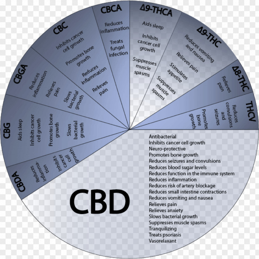 Brains Cannabinoid Medical Cannabis Cannabidiol Tetrahydrocannabinol PNG