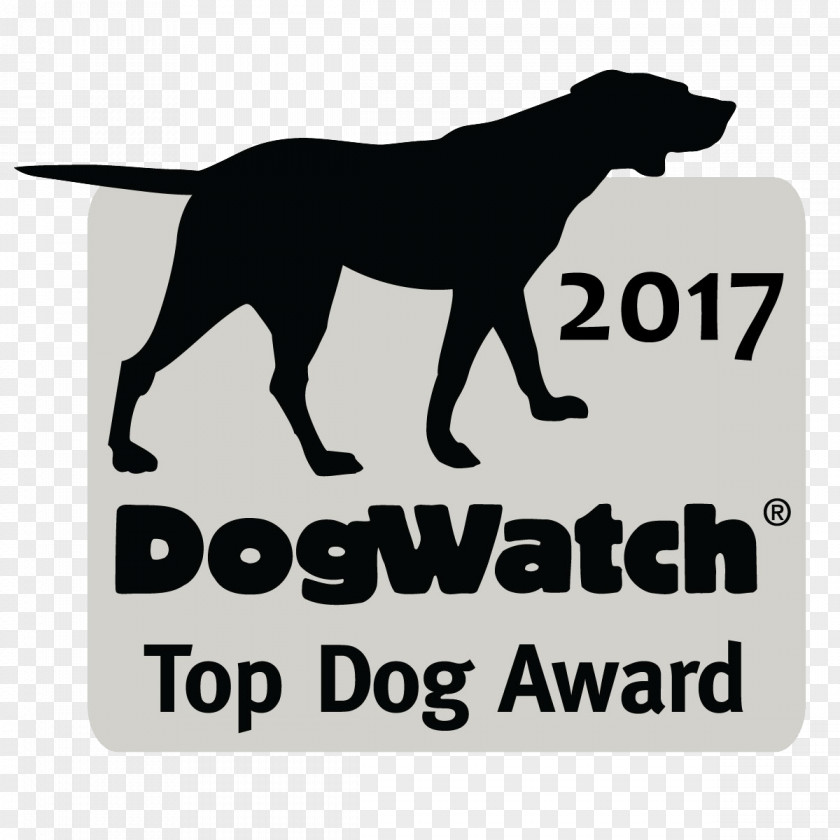 Fence Labrador Retriever Dog Breed Dogwatch Pet PNG