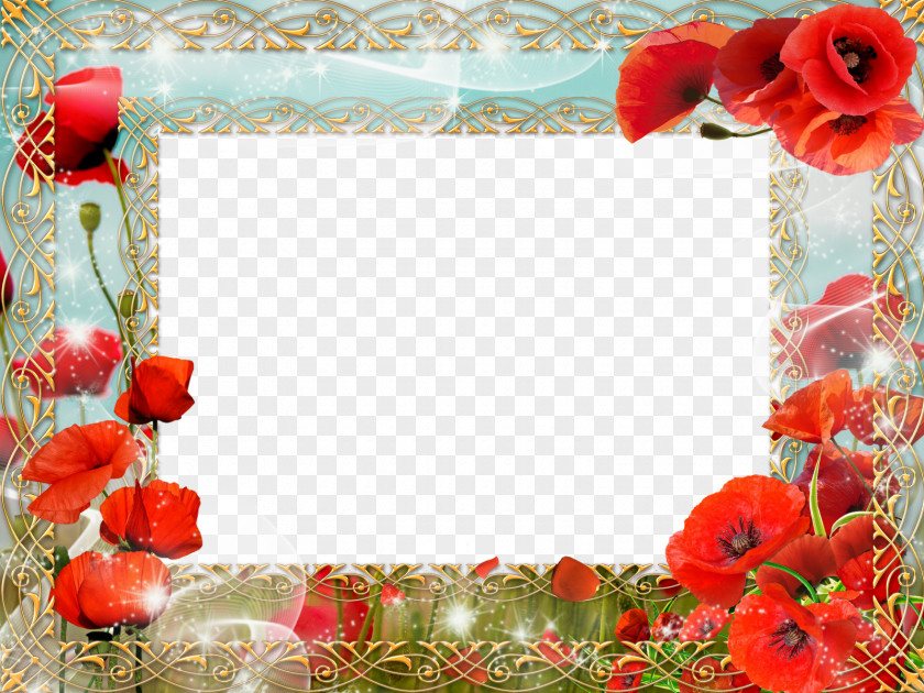 Frame Flower Picture Frames PNG
