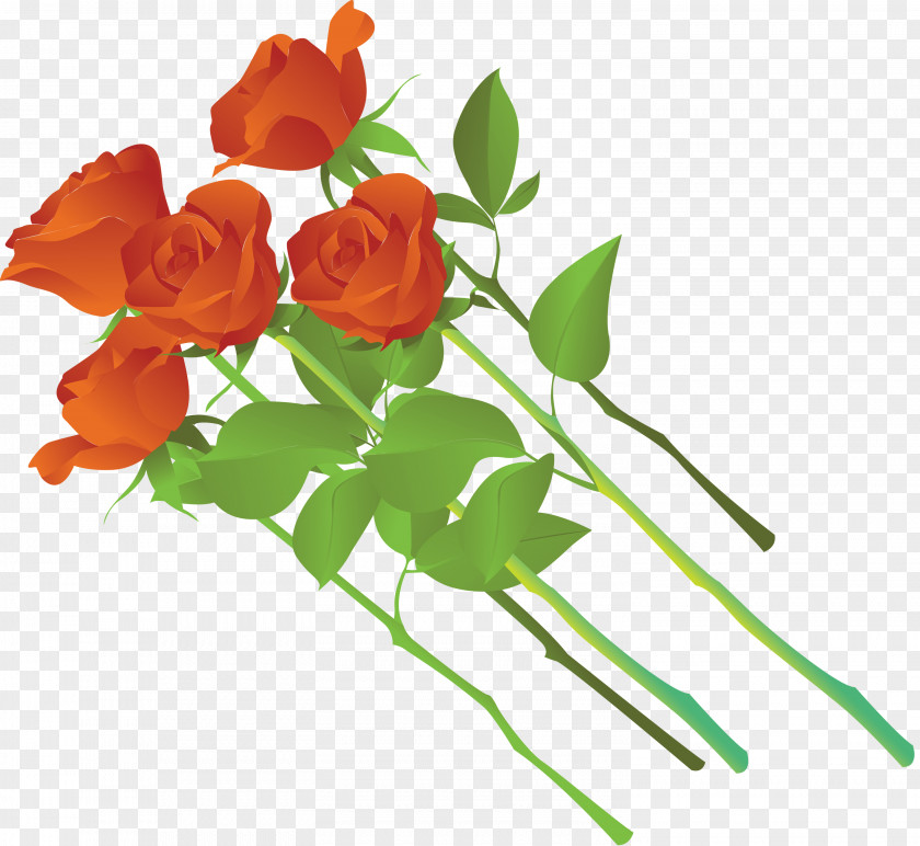 Rose Beach Clip Art PNG