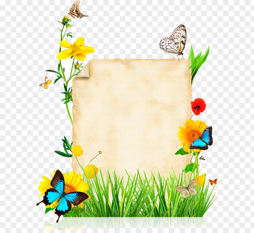 Butterfly Paper Flower Stock Photography Clip Art PNG