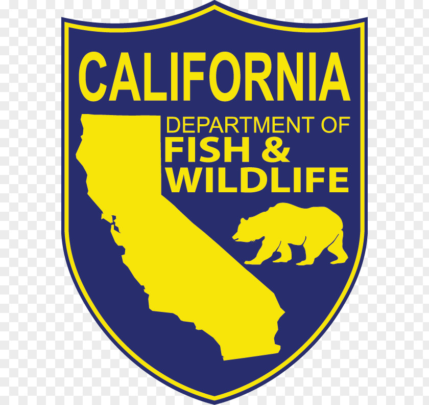 Fishing California Department Of Fish And Wildlife Hunting PNG