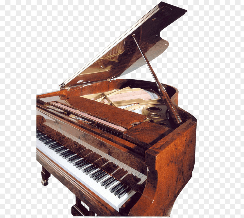 Grand Sale Fortepiano Annecy Adaptive Expertise Digital Piano PNG