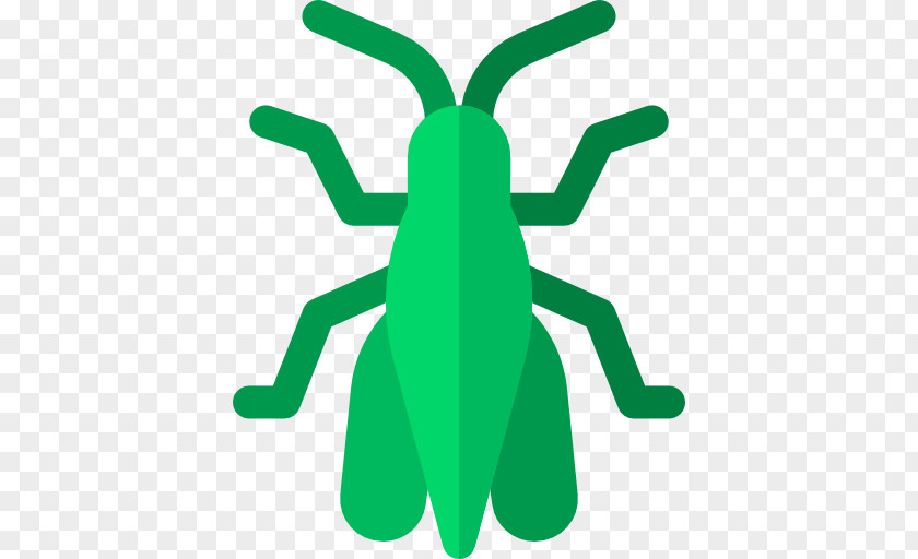 Grasshoppers Icon PNG