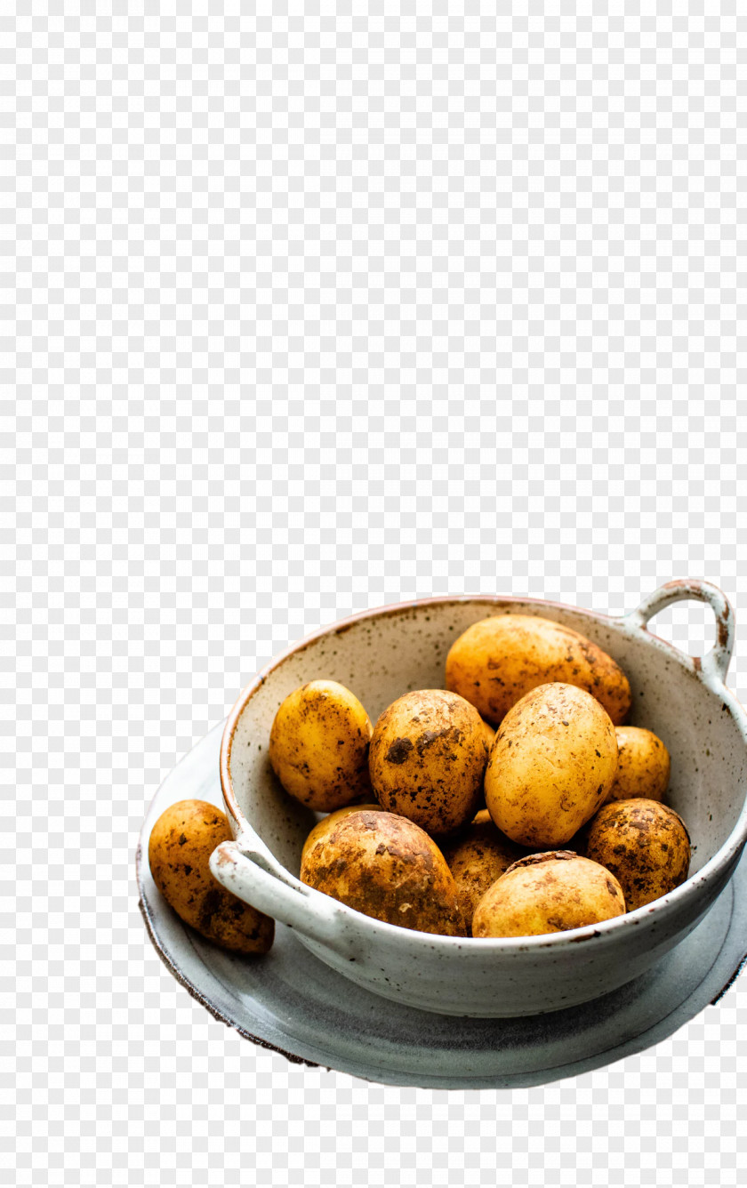 Leipzig Potato Login PNG
