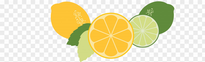 Lemon The Center For Land-Based Learning Dinner Putah Creek Desktop Wallpaper PNG