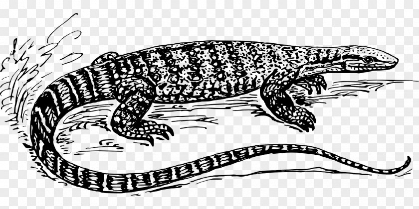 Lizard Komodo Dragon Reptile Gecko Clip Art PNG