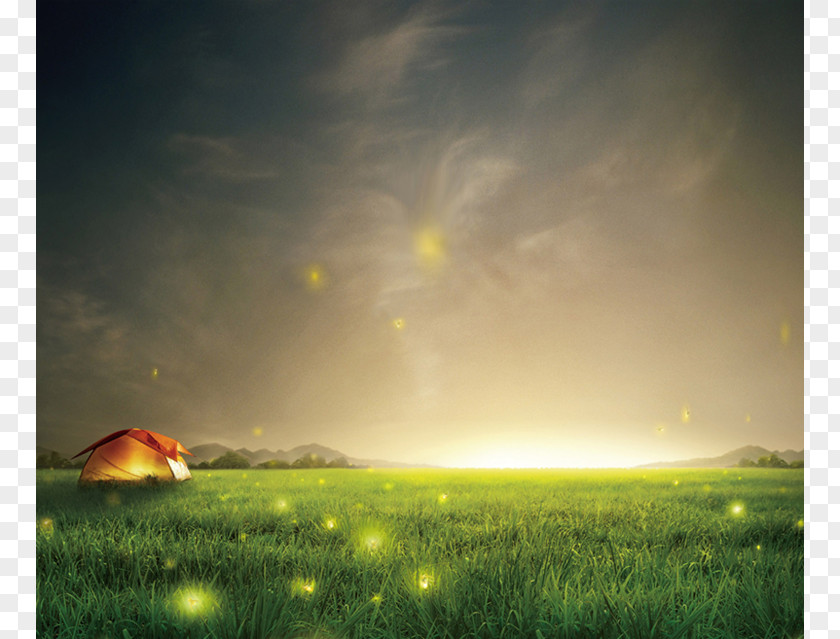 Night Sky Fireflies Grass Background Samsung Galaxy S6 S5 Smartphone Wallpaper PNG