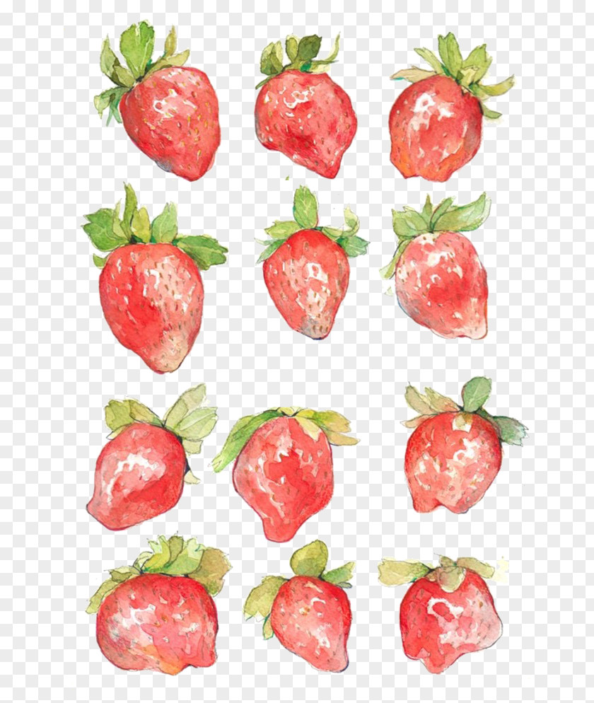 Hand-painted Strawberry Watercolor Painting Aedmaasikas Illustration PNG