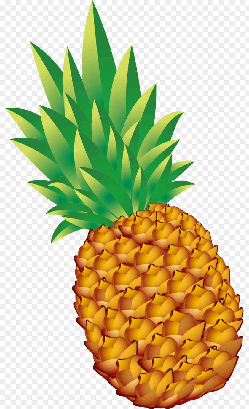 Pineapple Image Fruit Vegetarian Cuisine PNG
