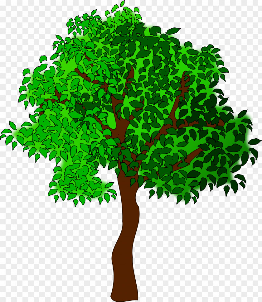 Cartoon Forest Clip Art PNG