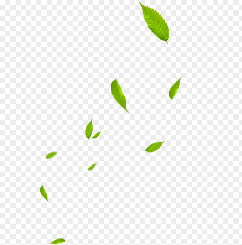 Leaf Green Banner PNG