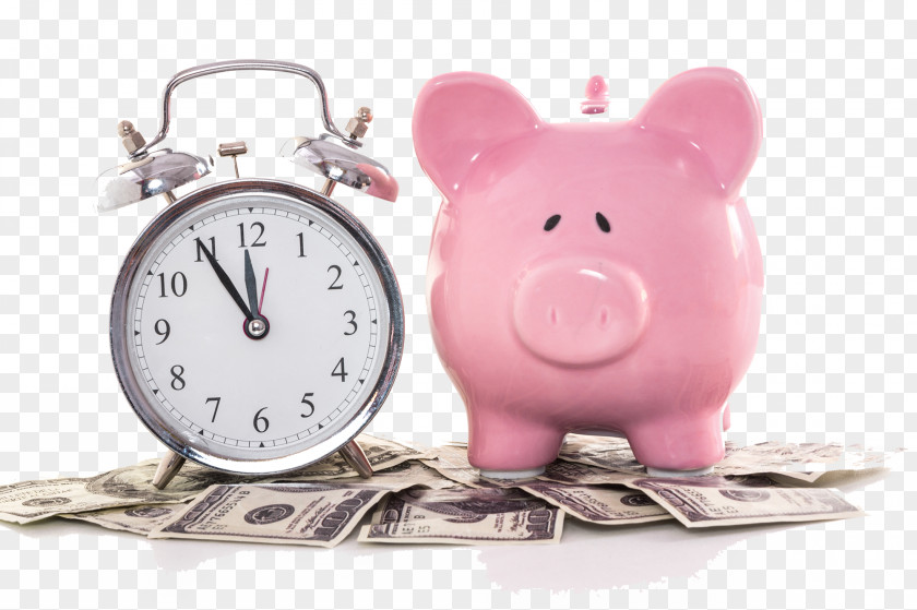 Piggy Bank Saving Money Stock Photography PNG