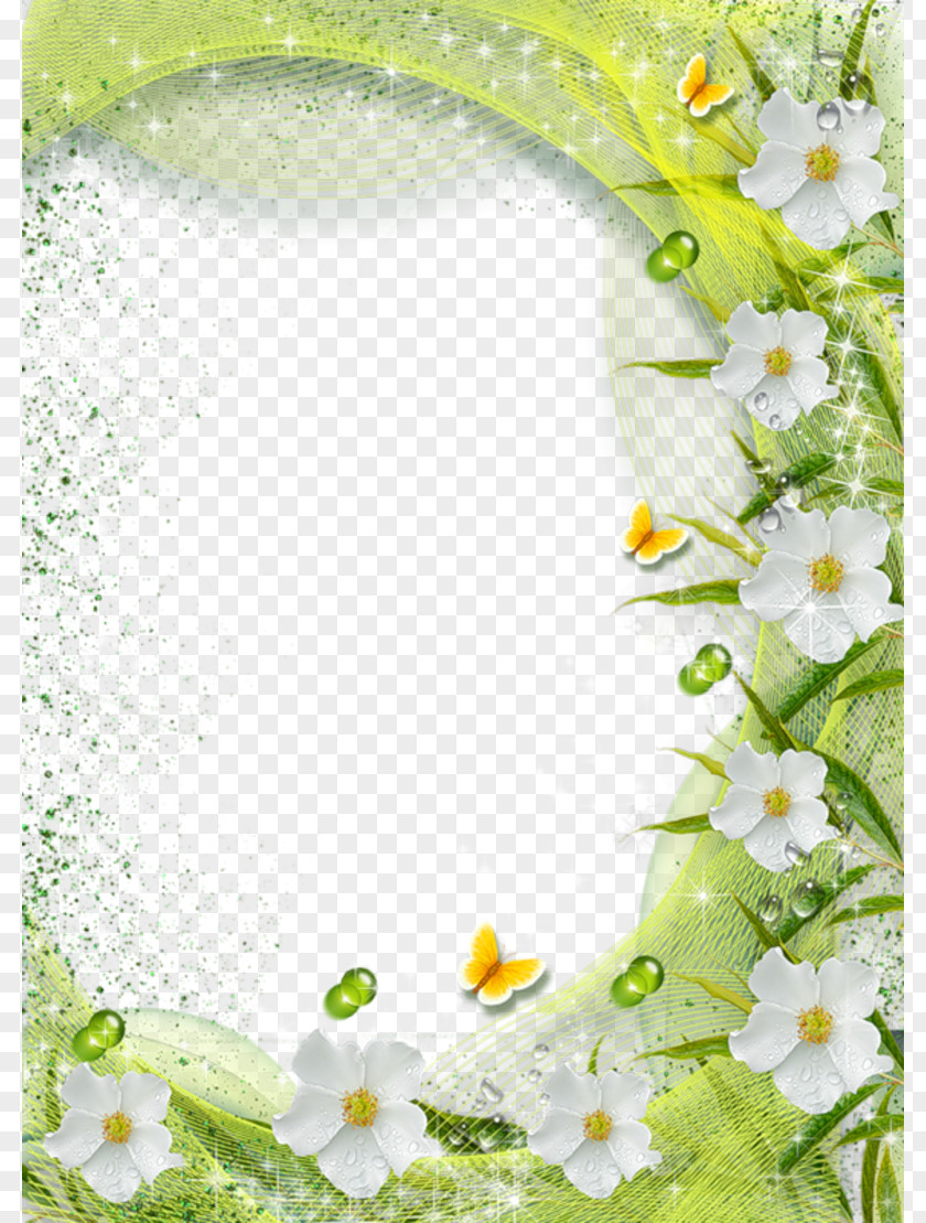 White Flower Frame Transparent Background Picture PNG