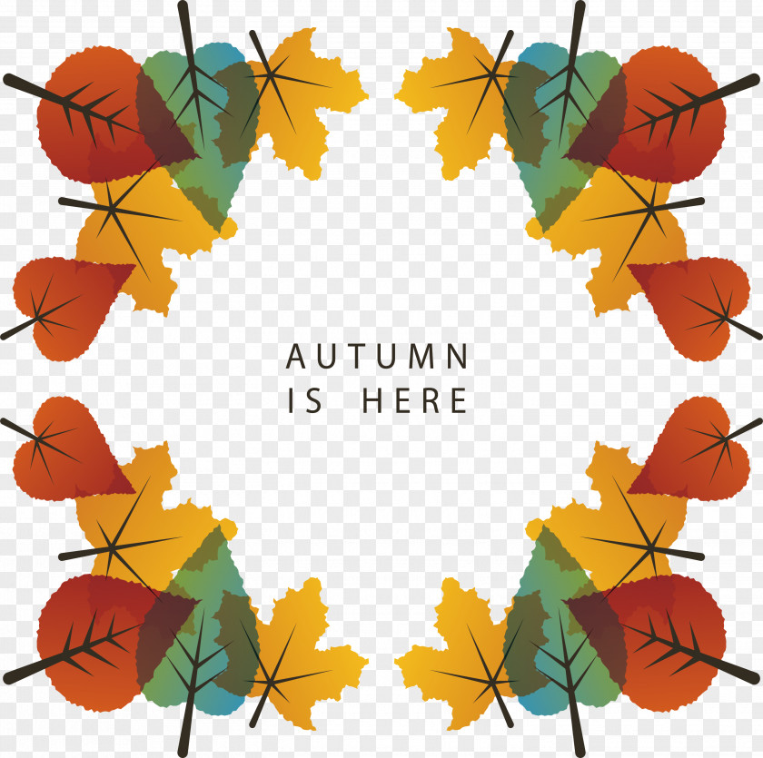 Colorful Autumn Leaves Maple Leaf Clip Art PNG
