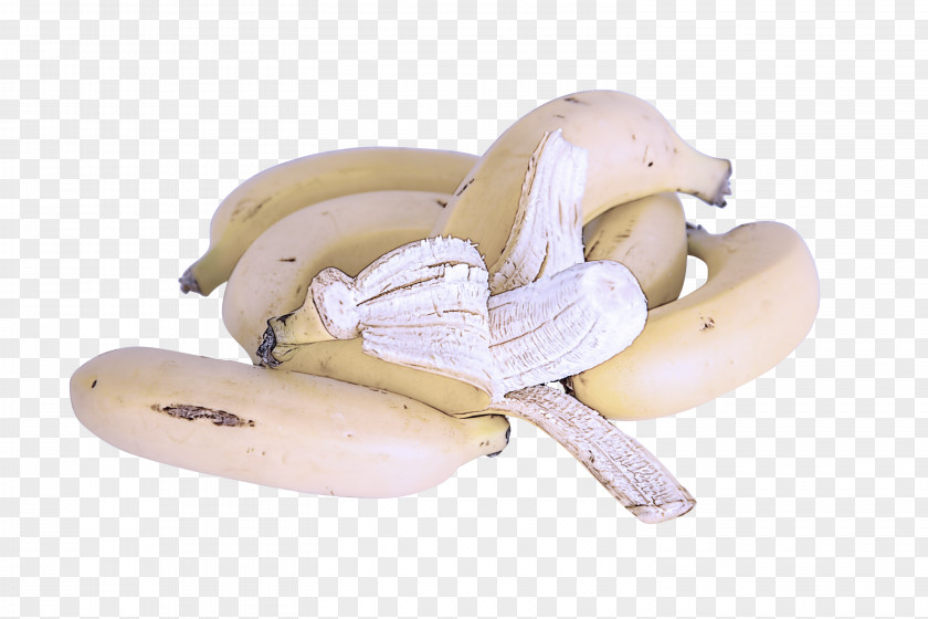 Food Mushroom Banana Family Beige Pleurotus Eryngii Agaricus PNG