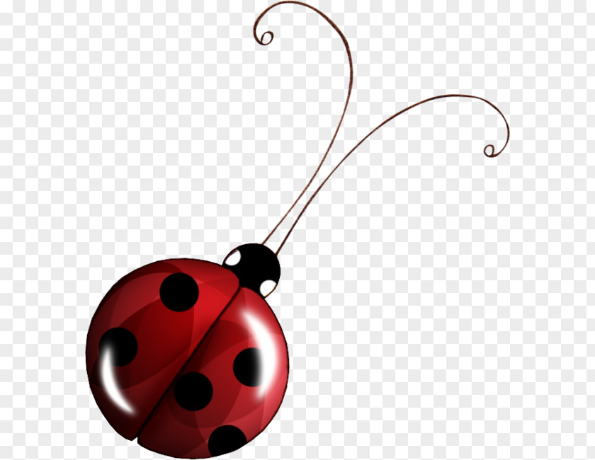 Insect Seven-spot Ladybird Animal Clip Art PNG