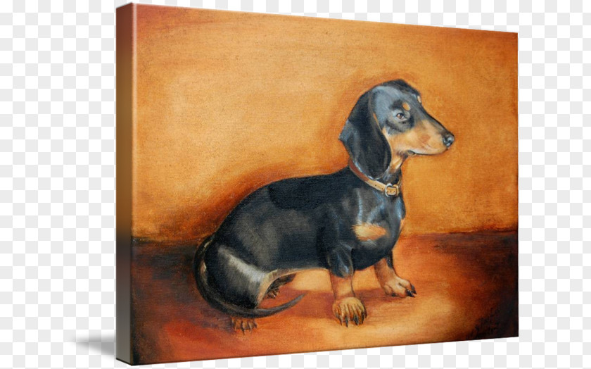 Puppy Dachshund Dog Breed Scent Hound Painting PNG
