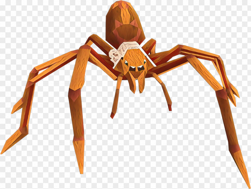 Spider Tarantula Insect Pest Arachnid PNG