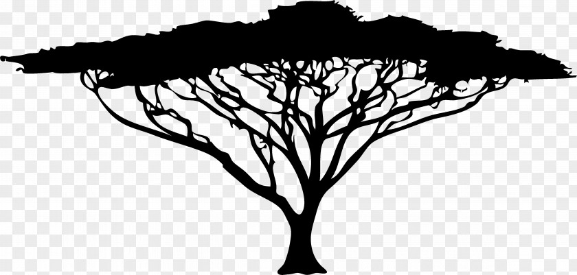 Tree Silhouette African Trees Drawing PNG