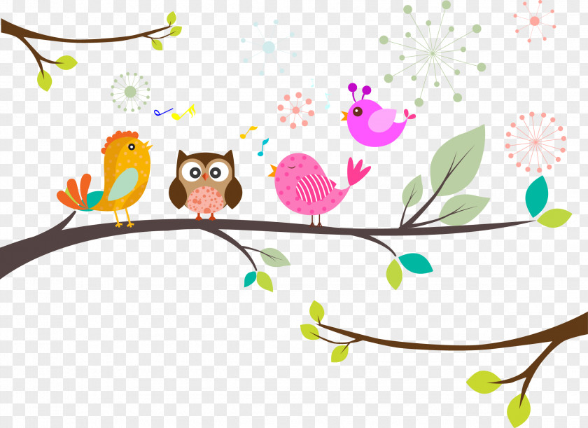 Vector Birds Bird Owl Illustration PNG