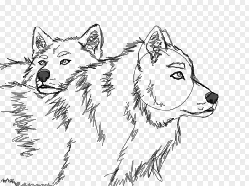 Wolf Sketch Dog Breed Snout Whiskers PNG