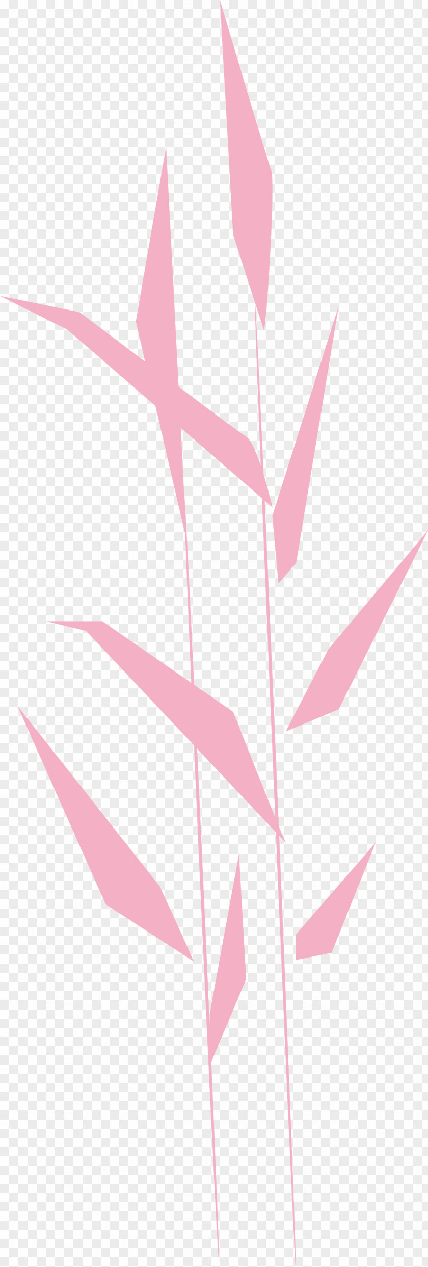 Angle Line Pattern Pink M M-tree PNG