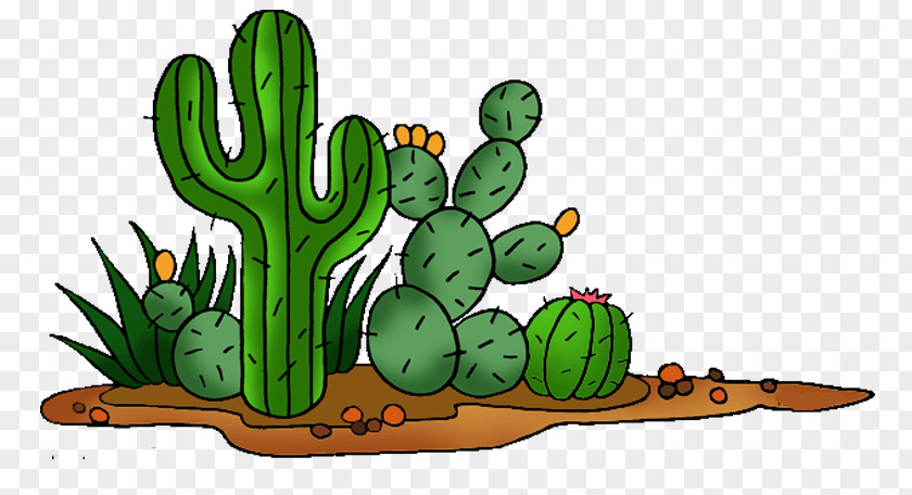 Cactus Cactaceae Saguaro Prickly Pear Clip Art PNG