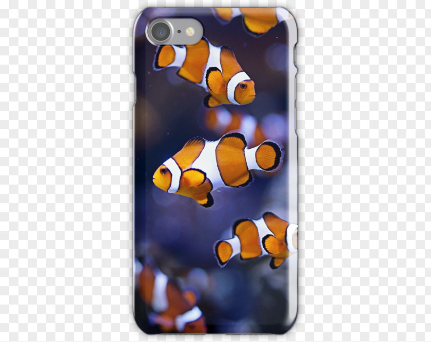 Clownfish Mobile Phone Accessories Phones IPhone Font PNG